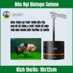 Đèn Rọi Biotope Selene