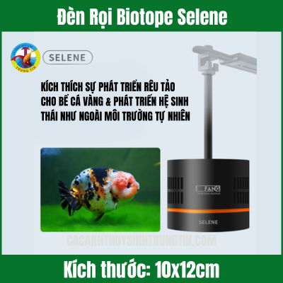 Đèn Rọi Biotope Selene