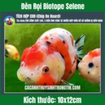 Đèn Rọi Biotope Selene