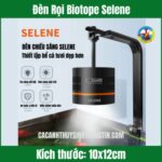 Đèn Rọi Biotope Selene