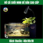 HỒ CÁ SUỐI MINI ĐỂ BÀN CAO CẤP