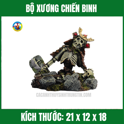 BỘ XƯƠNG CHIẾN BINH