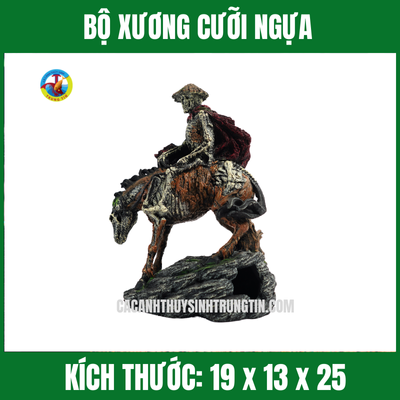 BỘ XƯƠNG CƯỠI NGỰA