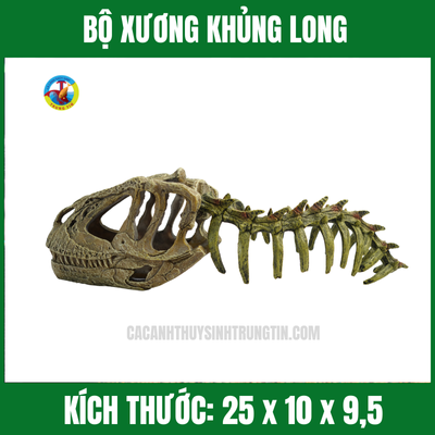 BỘ XƯƠNG KHỦNG LONG