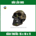 ĐẦU LÂU 085