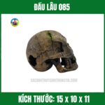 ĐẦU LÂU 085