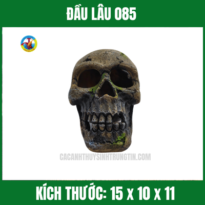 ĐẦU LÂU 085