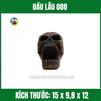 ĐẦU LÂU 088