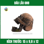 ĐẦU LÂU 088
