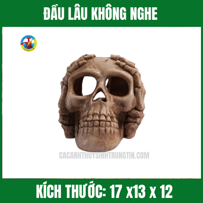 ĐẦU LÂU KHÔNG NGHE (2)