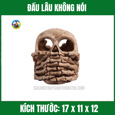 ĐẦU LÂU KHÔNG NÓI