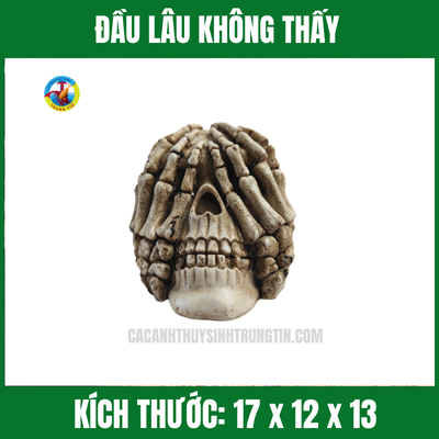 ĐẦU LÂU KHÔNG THẤY