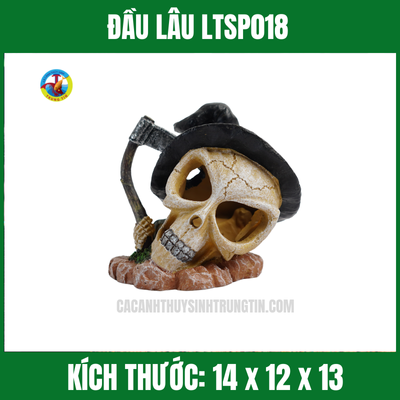 Đầu lâu - bộ xương