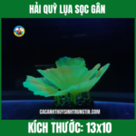 HẢI QUỲ LỤA SỌC GÂN