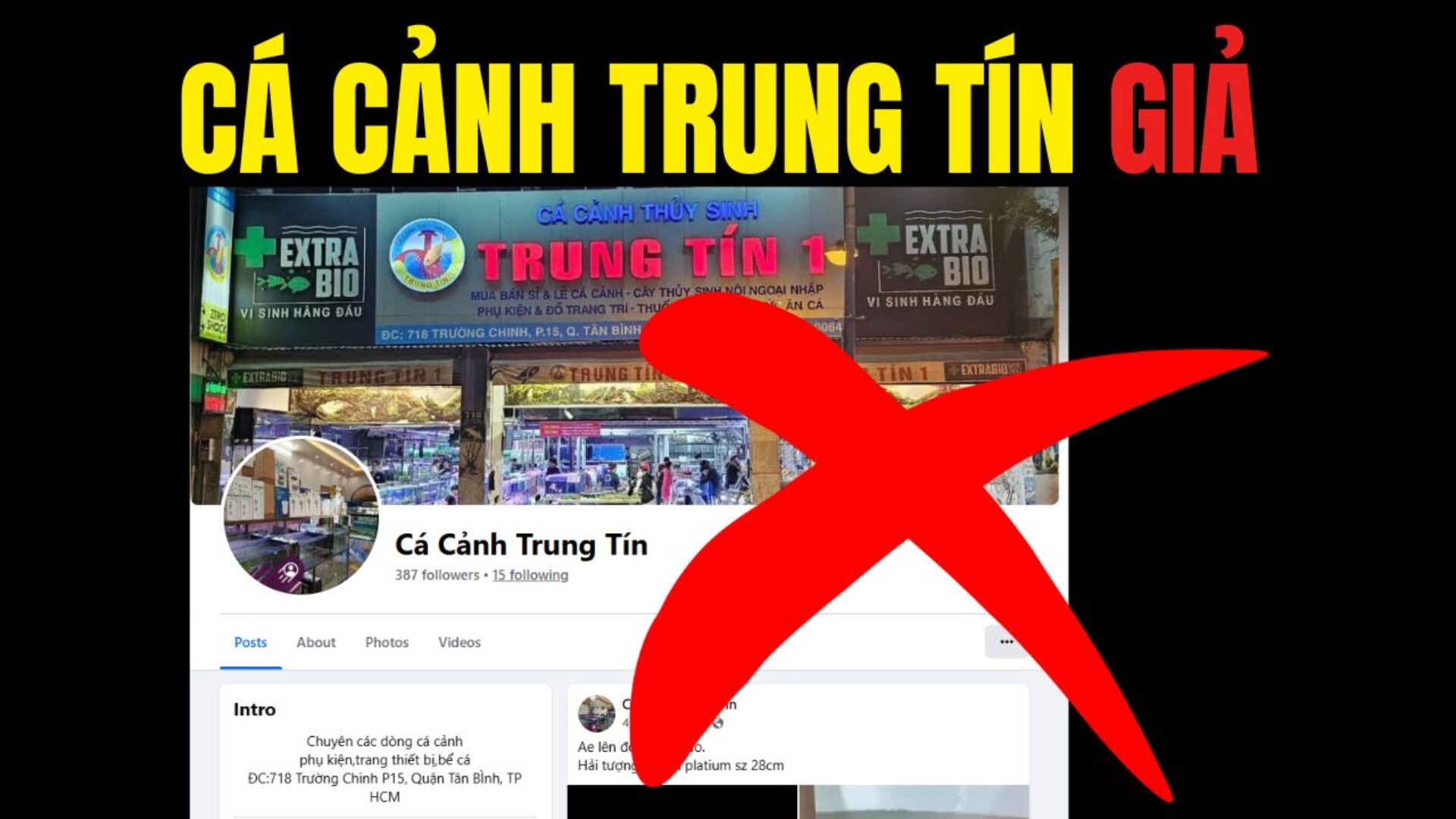Cảnh báo “Cá Cảnh Trung Tín” giả mạo lừa đảo khách hàng