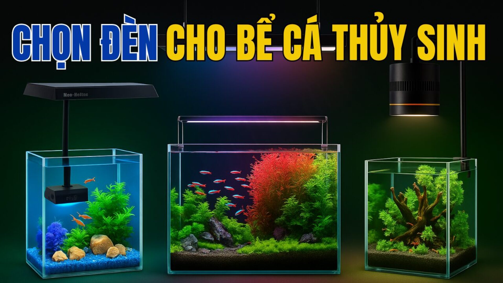Cách chọn đèn bể thủy sinh cho người mới