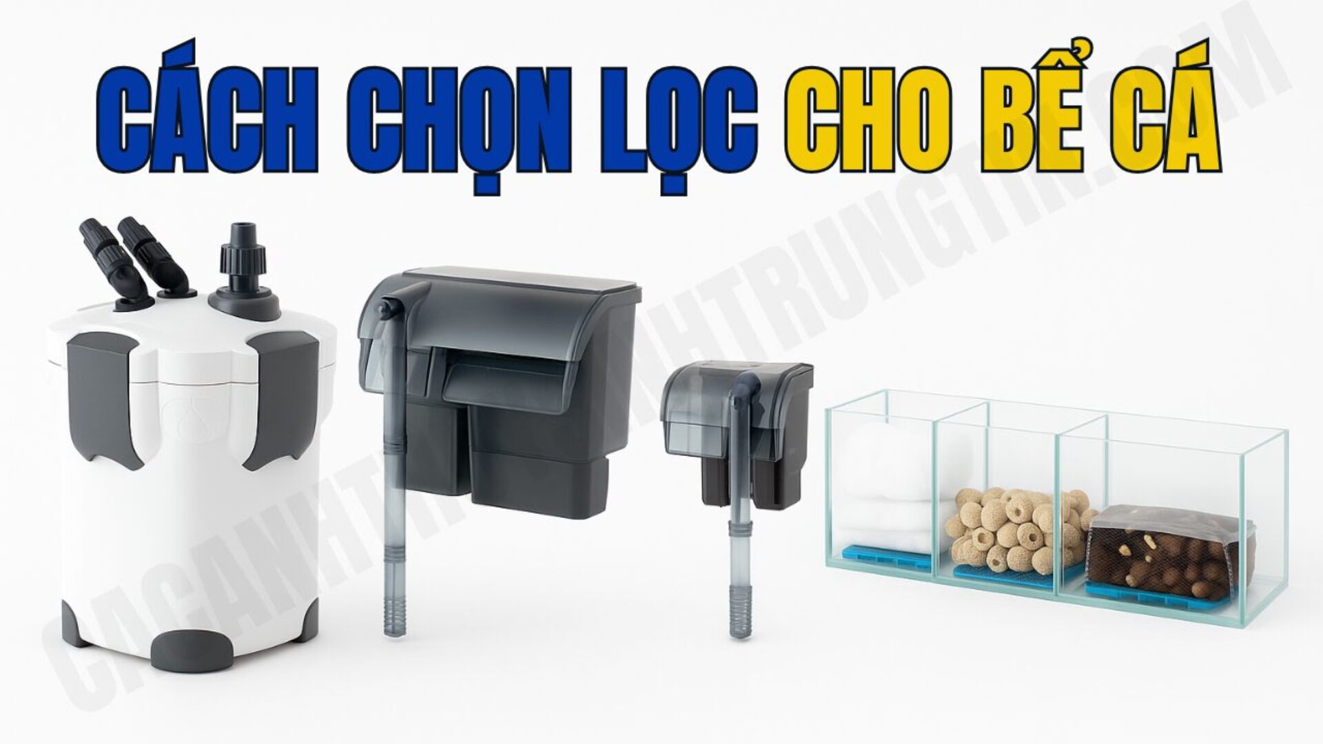 Làm thế nào để chọn máy lọc cho hồ cá của bạn?